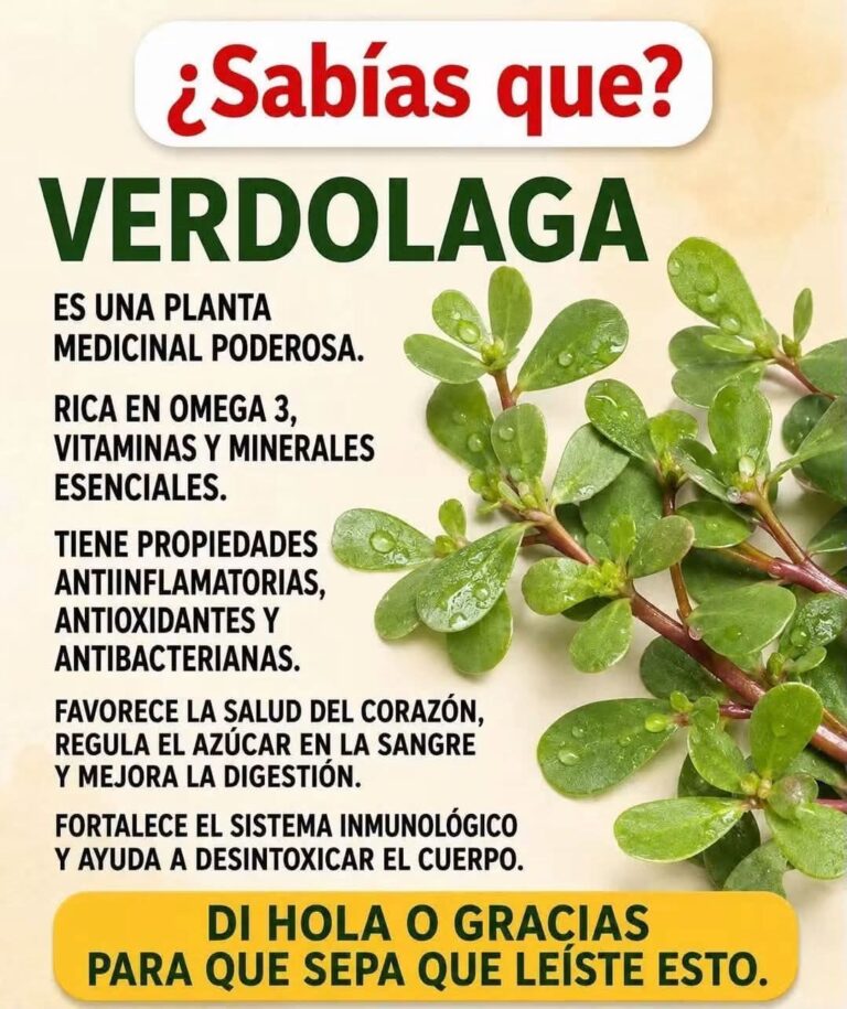 LA PLANTA MAS PODEROSA DEL MUNDO